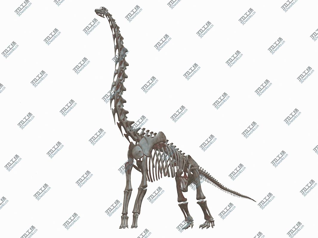 images/goods_img/2021040232/Brachiosaurus Skeleton 3D model/4.jpg